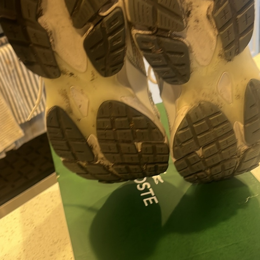 Lacoste Cream and Deep Green-Gray Athletic Shoes - Picture 4 of 5